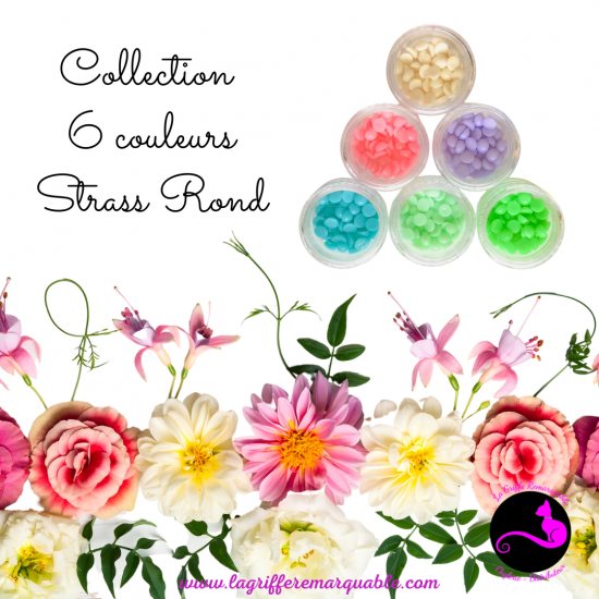 Collection 6 couleurs strass rond